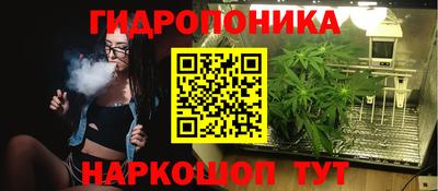 мяу мяу мука Кимры