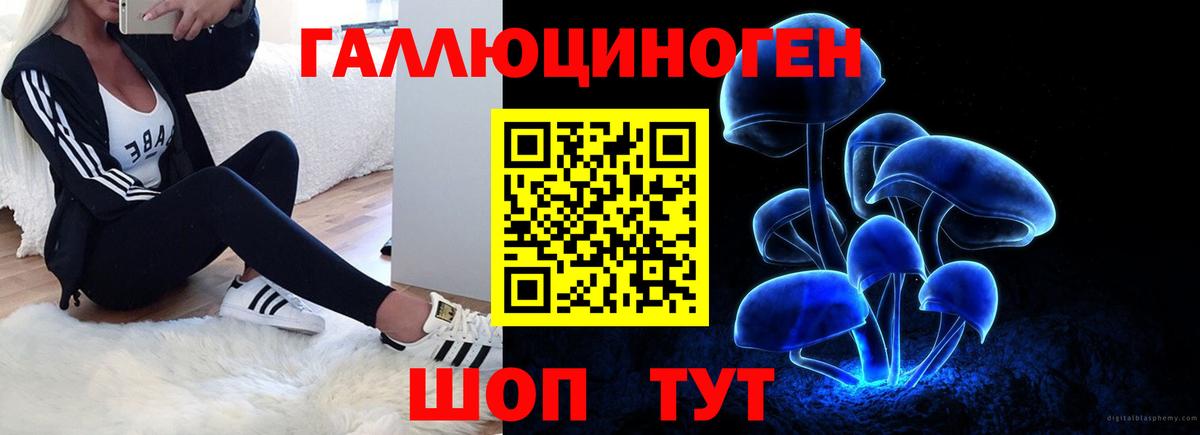 Галлюциногенные грибы ЛСД  Псилоцибиновые грибы MAGIC MUSHROOMS  Вход с VPN  Щёлково 